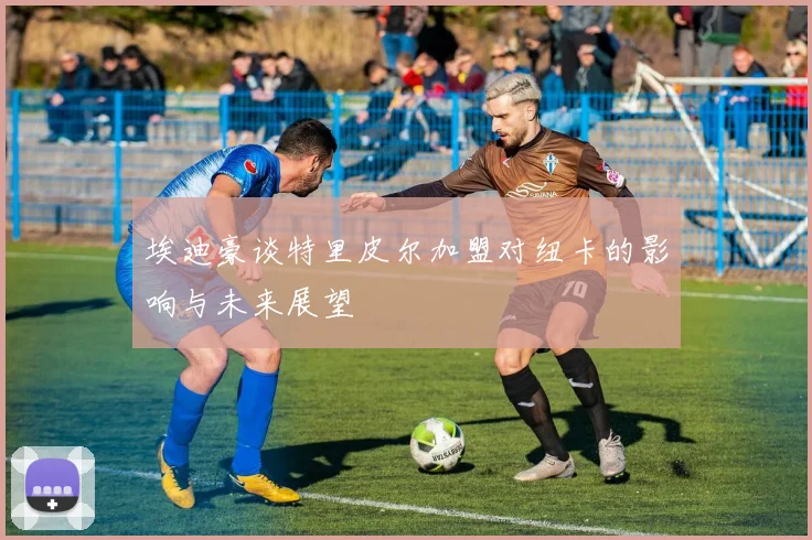 埃迪豪谈特里皮尔加盟对纽卡的影响与未来展望